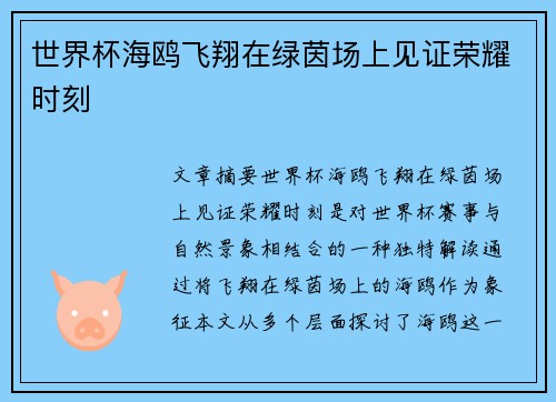 世界杯海鸥飞翔在绿茵场上见证荣耀时刻